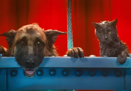 (L-r) DIGGS, voiced by JAMES MARSDEN and CATHERINE, voiced by CHRISTINA APPLEGATE in Warner Bros. Pictures’ and Village Roadshow Pictures’ comedy “CATS & DOGS: THE REVENGE OF KITTY GALORE,” a Warner Bros. Pictures release.